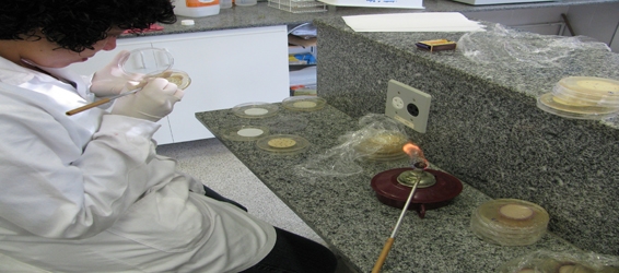 Laboratrio de Biologia